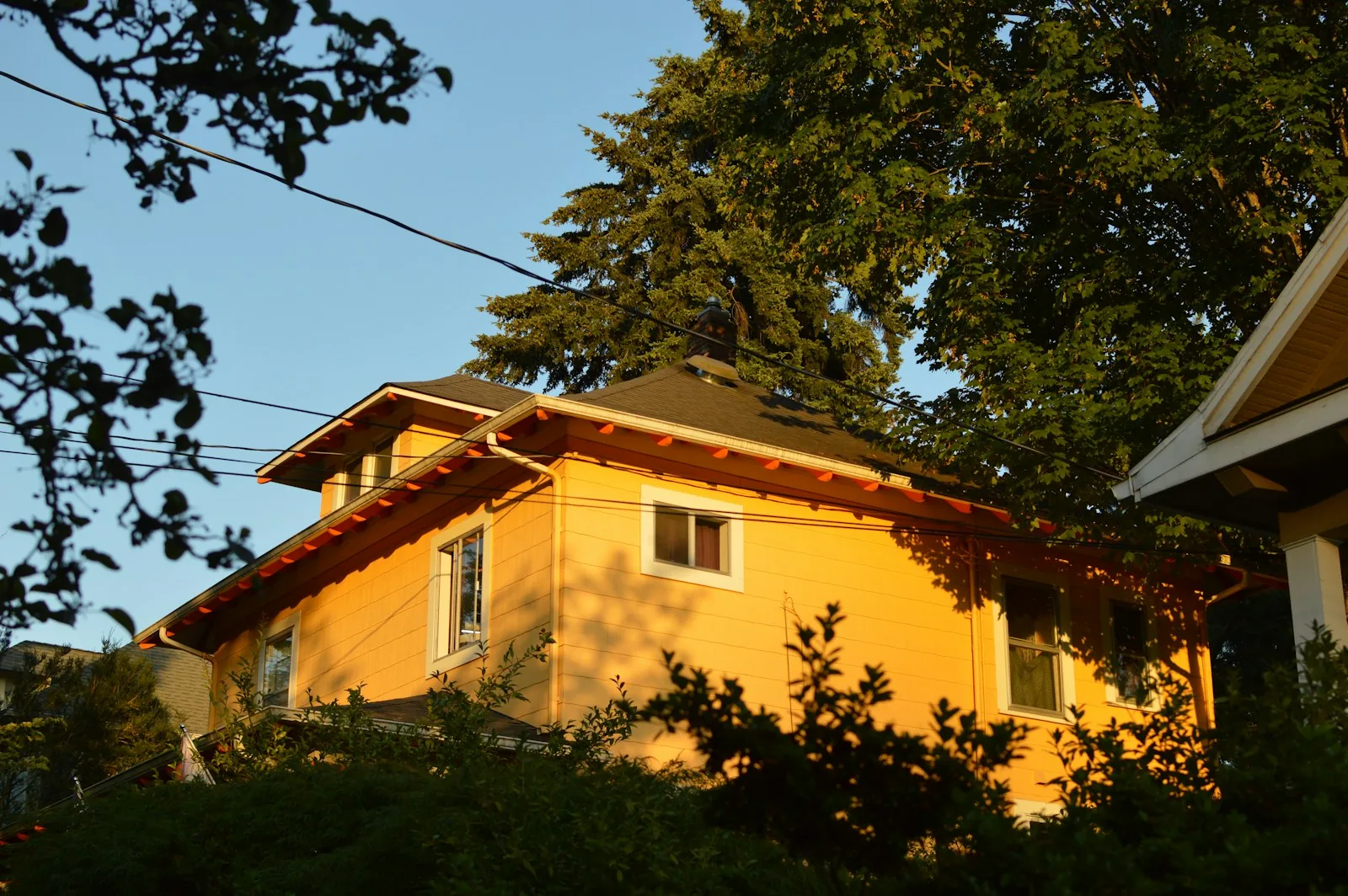 Established suburban homes representing family property
